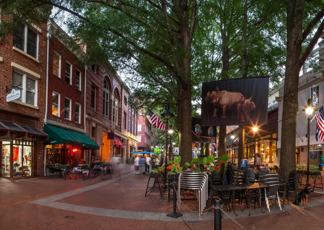 A lively street scene showing people dining at outdoor cafes beneath trees